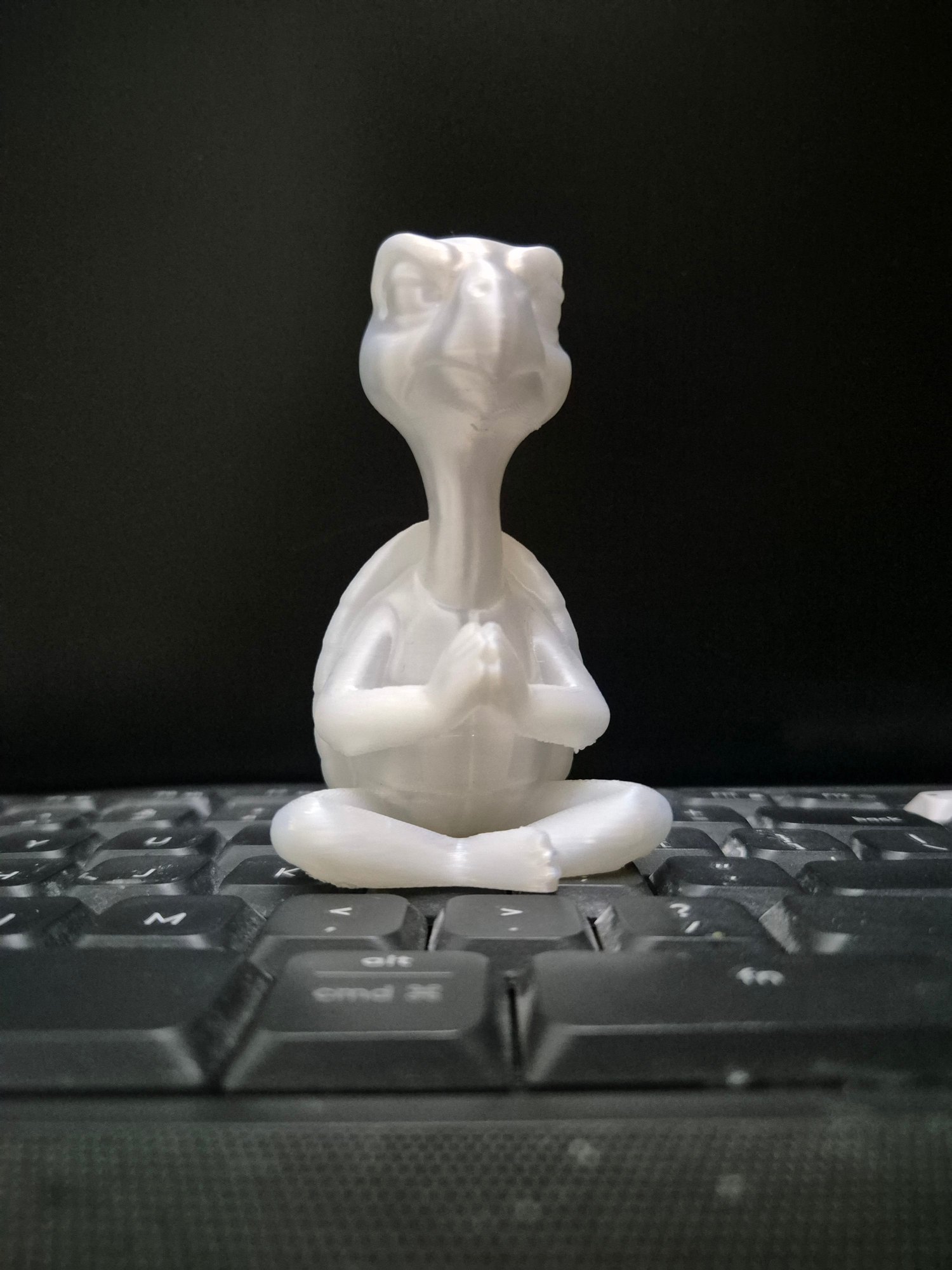 Sane Turtle — Handcrafted 3D Print by Dastaan India